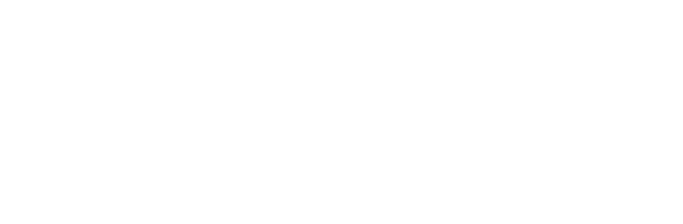 s construction & renovations logo upscaled white
